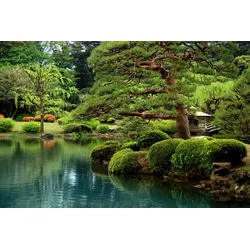 Fototapete PAPERMOON "GARTEN-ZEEN SEE BONZAI BÄUME BLUMEN PFLANZEN PARK GRÜN", bunt, B:3,00m L:2,23m, Vlies, Tapeten