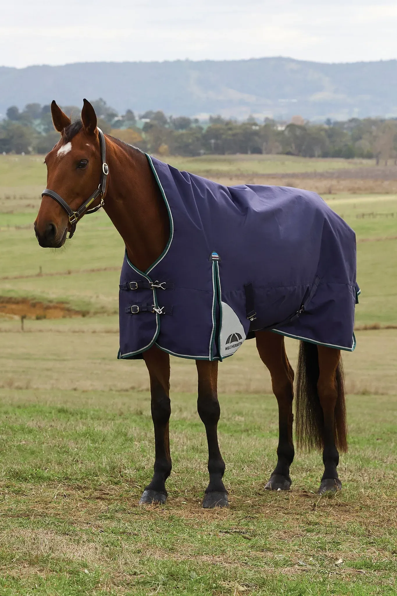Weatherbeeta ComFiTecPlus Dynamic Turnout High Neck 100G