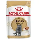 Royal Canin British Shorthair Adult Nassfutter 4 Kartons (48 x 85 g