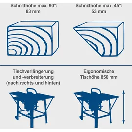 SCHEPPACH TS310 230 V