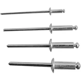 Brüder Mannesmann Werkzeuge Brüder Mannesmann Nietsortiment, (600-tlg.) M1097-S