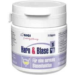 GIGI VET Harn & Blase 14 St