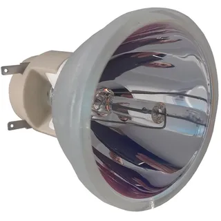 Osram Beamerlampe (nur Leuchtmittel) für OPTOMA (ersetzt: SP.7AZ01GC01 BL-FP240G)