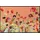 Wash+Dry Wildflowers 50 x 75 cm Orange/Rot