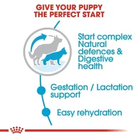 Royal Canin Maxi Starter 15 kg