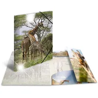 Herma Sammelmappe Tiere A4 giraffe