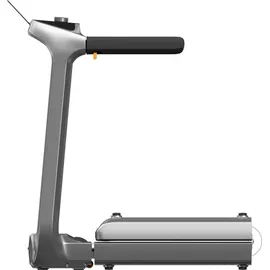 WalkingPad X218 schwarz