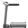 WalkingPad X218 schwarz