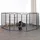 LIONTO Freilaufgehege 80 x 80 x 80 cm grau