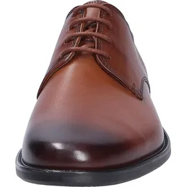 LLOYD CORE 110 für Herren, braun, / 10.5 UK