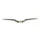 Renthal V2 Fatbar Lite Carbon Handlebar - 40 mm