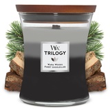 WoodWick Trilogy-Duftkerze im Sanduhrglas mit Pluswick-Innovation, Warm Woods