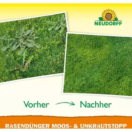 NEUDORFF RasenDünger Spezial 5Plus1 10 kg