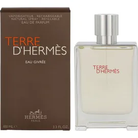 Hermès Terre d'Hermès Eau Givrée Eau de Parfum 100 ml