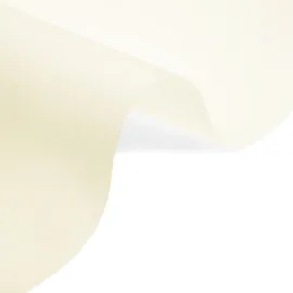 Wellhome - Lichtdurchlässiges Polyester-Rollo 140 x 250 cm (Breite x Höhe) Beige