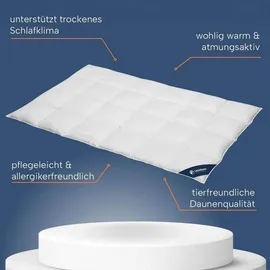 innovations2u ug (haftungsbeschränkt) Gänsedaunendecke »FIRST CLASS« – 100% Gänsedaunen, Größe: 135x200