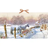 Coppenrath Verlag Wand-Adventskalender Winterponys