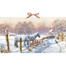 Coppenrath Verlag Wand-Adventskalender Winterponys