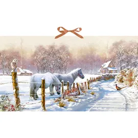 Coppenrath Verlag Wand-Adventskalender Winterponys