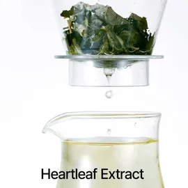 Anua Heartleaf Pore Control Reinigungsöl 20 ml