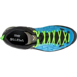 Salewa MTN Trainer 2 GTX Herren, Blau