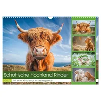 Calvendo Schottische Hochland Rinder (Wandkalender 2026 DIN A3 quer),