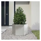 vidaXL Pflanzkübel Sechseckig 69x60x45 Edelstahl
