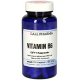 Hecht Pharma Vitamin B6 GPH Kapseln 120 St.