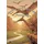 Bookmundo Worlds of words and wonders: Pterosaurs
