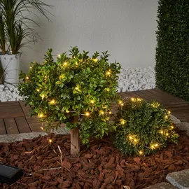 StarTrading LED Lichterkette Dew Drop 5 m Silber warmweiß