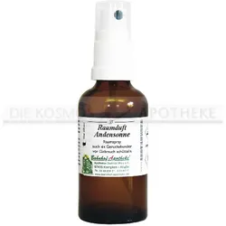 RAUMDUFT Andensonne Raumspray 50 ml