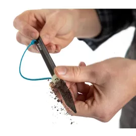 Nemo Sweepstake (6-Pack) neutral