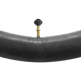 WTB 700 x 38–45 Pv Tube