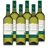 Roche Mazet – Weißwein Trocken – Sauvignon – Pays d'Oc IGP – Terra Vitis (6 x 0,75 l)