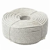 WERKA PRO Beige Schnur 100 Meter WERKA PRO Ø 6mm (Widerstand ± 590 kg)