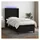 vidaXL Boxspringbett 100 x 200 cm Schwarz