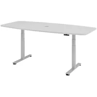 Bümö Konferenztisch, Grau, Silber, Nachbildung, Oval, 220x74x103 cm, FSC