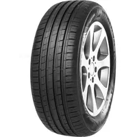 MINERVA 209 195/65 R15 91V