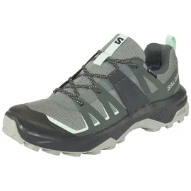 Salomon EXTEND 2 GTX W Sedsa/Wrought iron, sedona Sage/Wrought Iron/Lichen