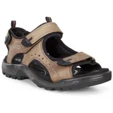 ECCO Offroad Herren nutmeg brown 46