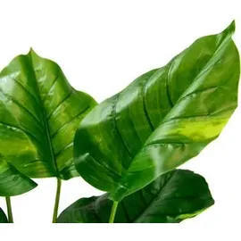 I.GE.A. Kunstpflanze grün