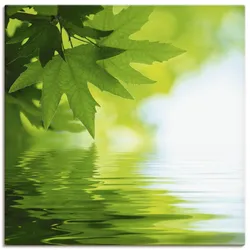Artland Wandbild »Grüne Blätter reflektieren im Wasser«, Blätter, (1 St.), als Leinwandbild, Poster, Wandaufkleber in verschied. Größen Artland Farbe Bild(er): grün