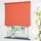 LIEDECO Seitenzugrollo Uni 202 x 180 cm verdunkelnd terrakotta