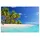 cover-your-desk Schreibtischunterlage für Kinder und Erwachsene Palmen am Meer, aus hochwertigem Vinyl , 60 x 40 cm