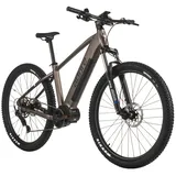 ADORE GX-750 2023 29 Zoll RH 46 cm grau