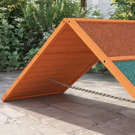 PawHut Agility-Wippe 173 x 59 x 66 cm Orange