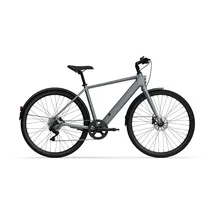 tenways CGO600 Plus 2025 28 Zoll RH 50 cm grau