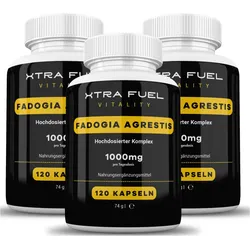 Fadogia Agrestis von XTRA FUEL | 360 Kapseln mit 1000 mg je Dosis in laborgeprüfter Apothekenqualität - Fadogia Agrestis mit verifizierten Erfahrungen - in Deutschland laborgeprüft - 360 Stk 360 St