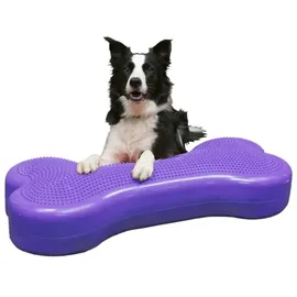 FitPAWS Haustier-Balancierscheibe Giant K9FITbone PVC Lila