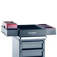 Goldwell PRE Color & Styling unit